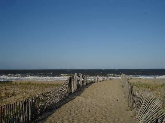 Surf Club Oceanfront Hotel Dewey Beach Exterior foto